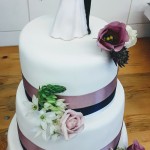Rose, bleu marine et blanc.